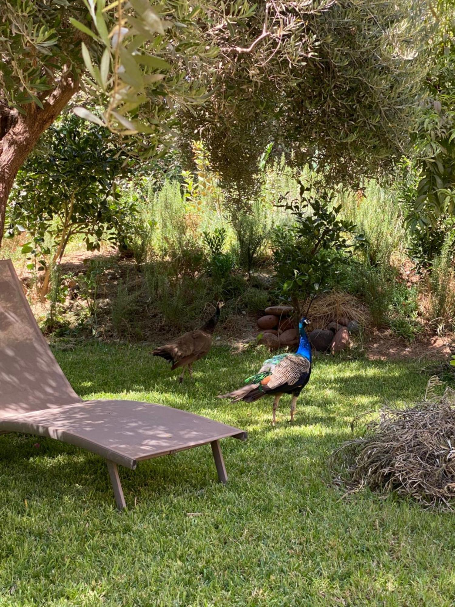 Oulad Moumene Jardin Sakina - Chambre D'Hotes المظهر الخارجي الصورة